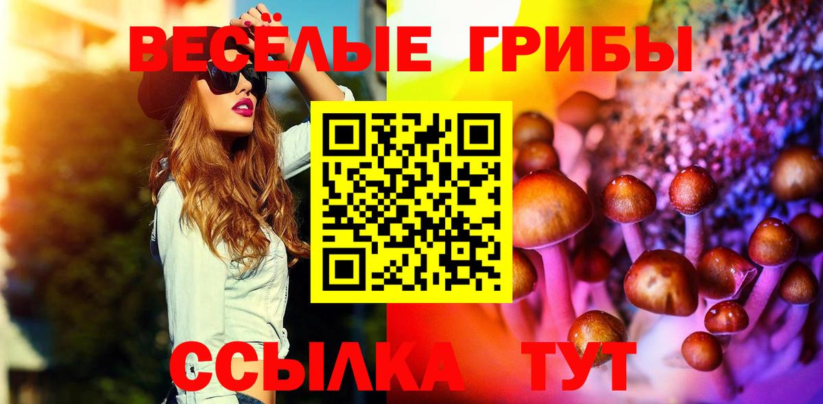 Луга  Галлюциногенные грибы GOLDEN TEACHER  купить наркотик  Вход с VPN 