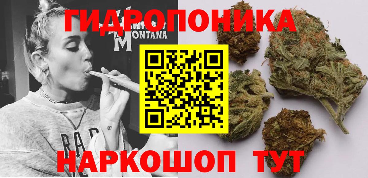 Марихуана тримм  Вход с VPN  Шишки марихуана индика  Каннабис тримм  Луга 